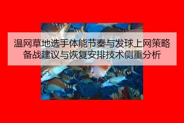 wen-wang-cao-di-xuan-shou-ti-neng-jie-zou-yu-fa-qiu-shang-wang-ce-lve-bei-zhan-jian-yi-yu-hui-fu-an-pai-ji-shu-ce-zhong-2-284.jpg