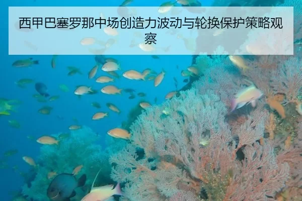 xi-jia-ba-sai-luo-na-zhong-chang-chuang-zao-li-bo-dong-yu-lun-huan-bao-hu-ce-lve-guan-cha-2-206.jpg